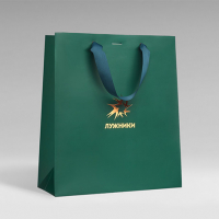 Лужники, Размеры 300х340х120 мм