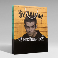 ЭУ, ПАЦАН ЭУ, ПАЦАН, Размеры 400х500х80 мм